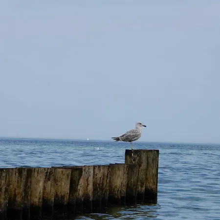 Ferienwohnung * Ostseebad Kühlungsborn