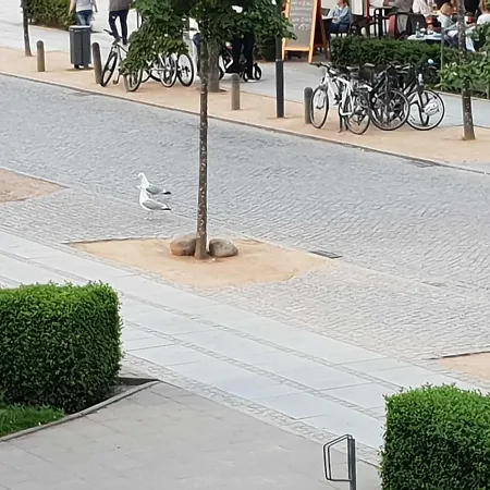 شقة Ferienwohnung