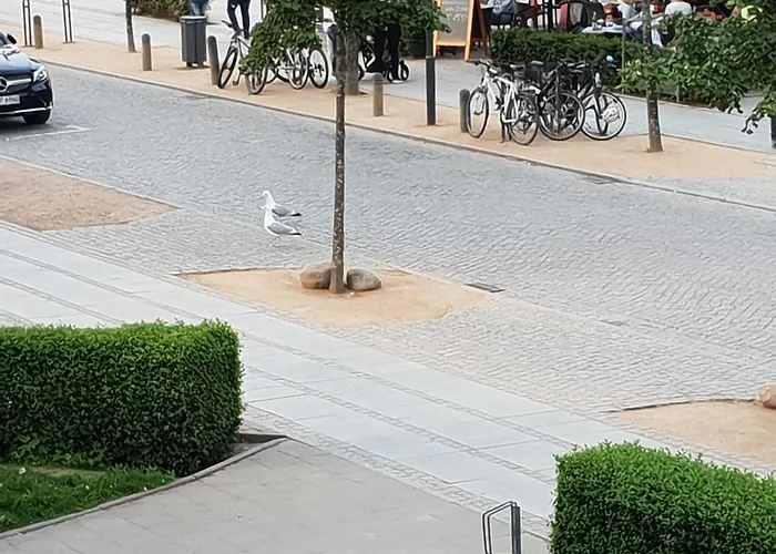 Lejlighed Ferienwohnung